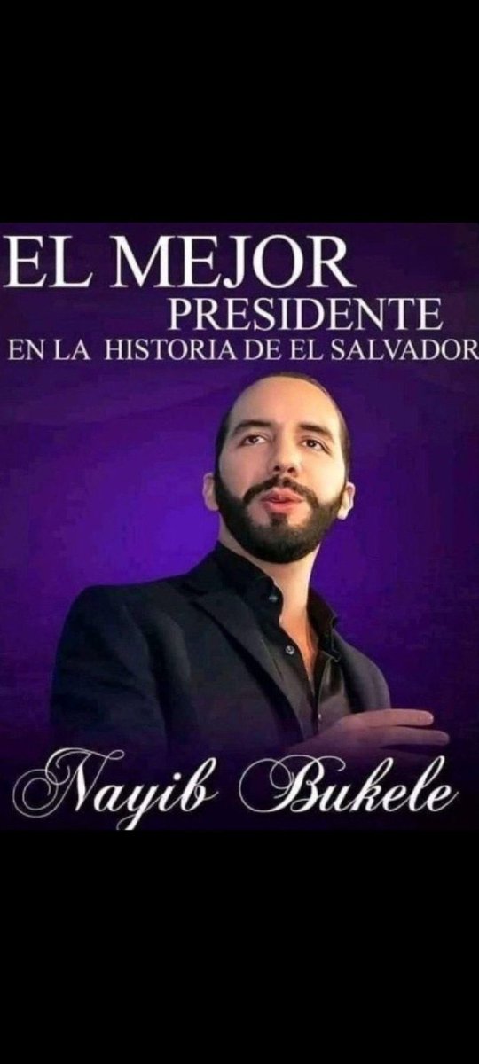 La Nacion Noticias tweet media