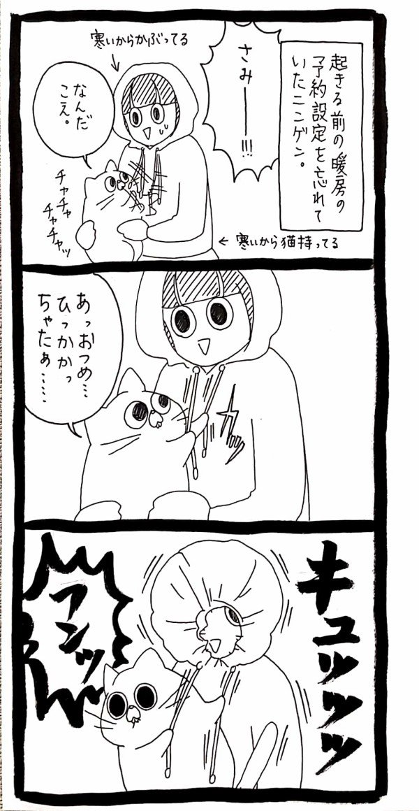 うさぎのみみちゃん😇デザフェス両日西1階B-10 tweet media