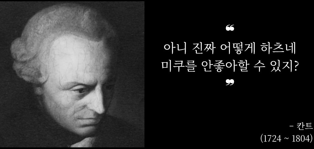 メソ tweet media