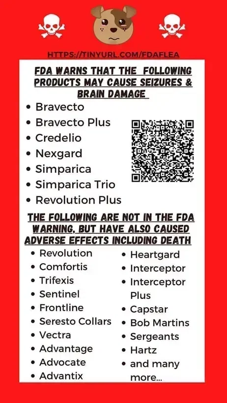 kelllynn28's tweet image. Fleas &amp;amp; Ticks Cats Dogs Caturday CatsofX DogsofX

#Fleas &amp;amp; #Ticks #Cats #Caturday #CatsofX #DogsofX
