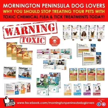kelllynn28's tweet image. Fleas &amp;amp; Ticks Cats Dogs Caturday CatsofX DogsofX

#Fleas &amp;amp; #Ticks #Cats #Caturday #CatsofX #DogsofX