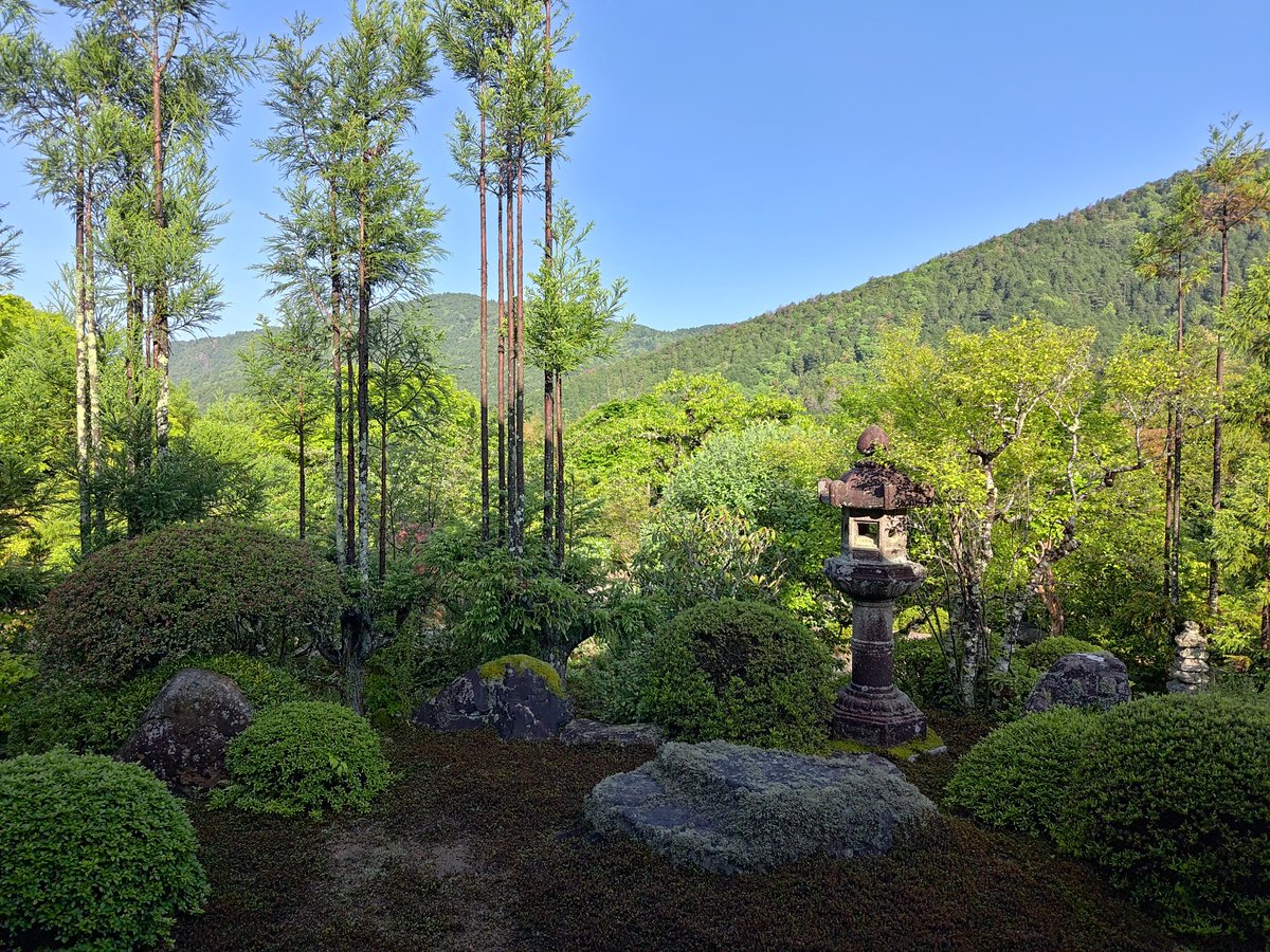 おはようございます。
今日もよい日でありますように🙏