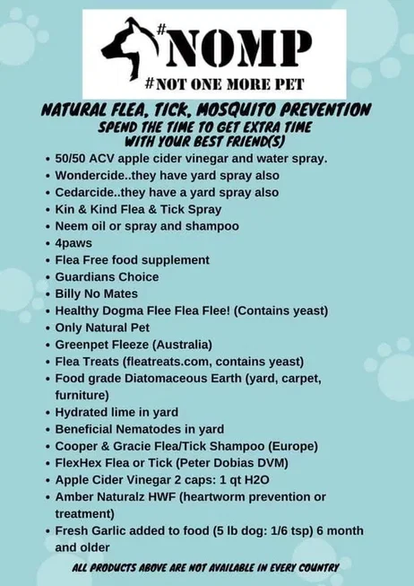 kelllynn28's tweet image. Fleas &amp;amp; Ticks Cats Dogs Caturday CatsofX DogsofX

#Fleas &amp;amp; #Ticks #Cats #Caturday #CatsofX #DogsofX