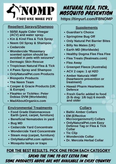 kelllynn28's tweet image. Fleas &amp;amp; Ticks Cats Dogs Caturday CatsofX DogsofX

#Fleas &amp;amp; #Ticks #Cats #Caturday #CatsofX #DogsofX
