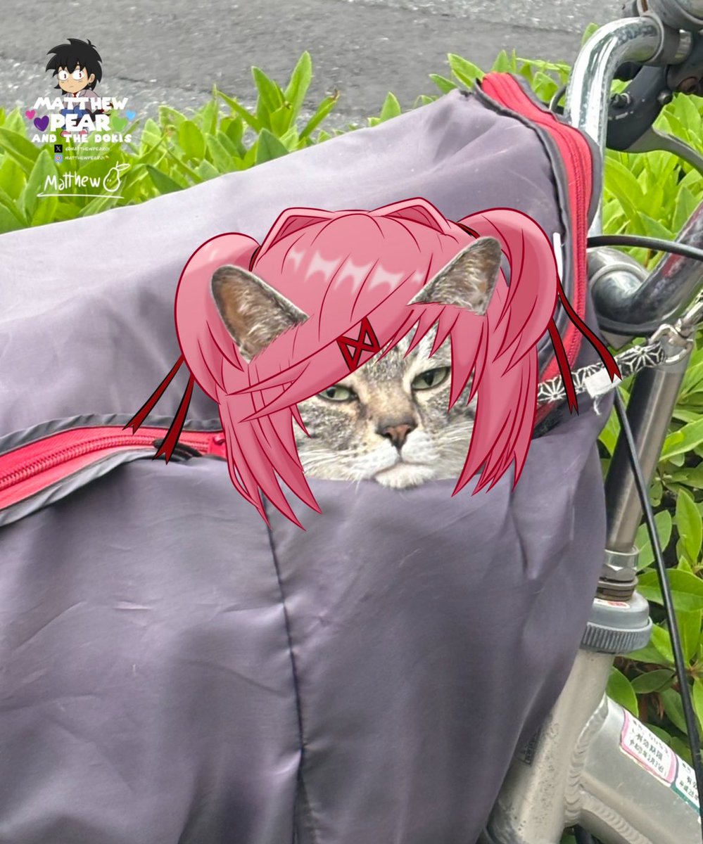 Matthew Pear and the Dokis 💜💚🩷💙 tweet media