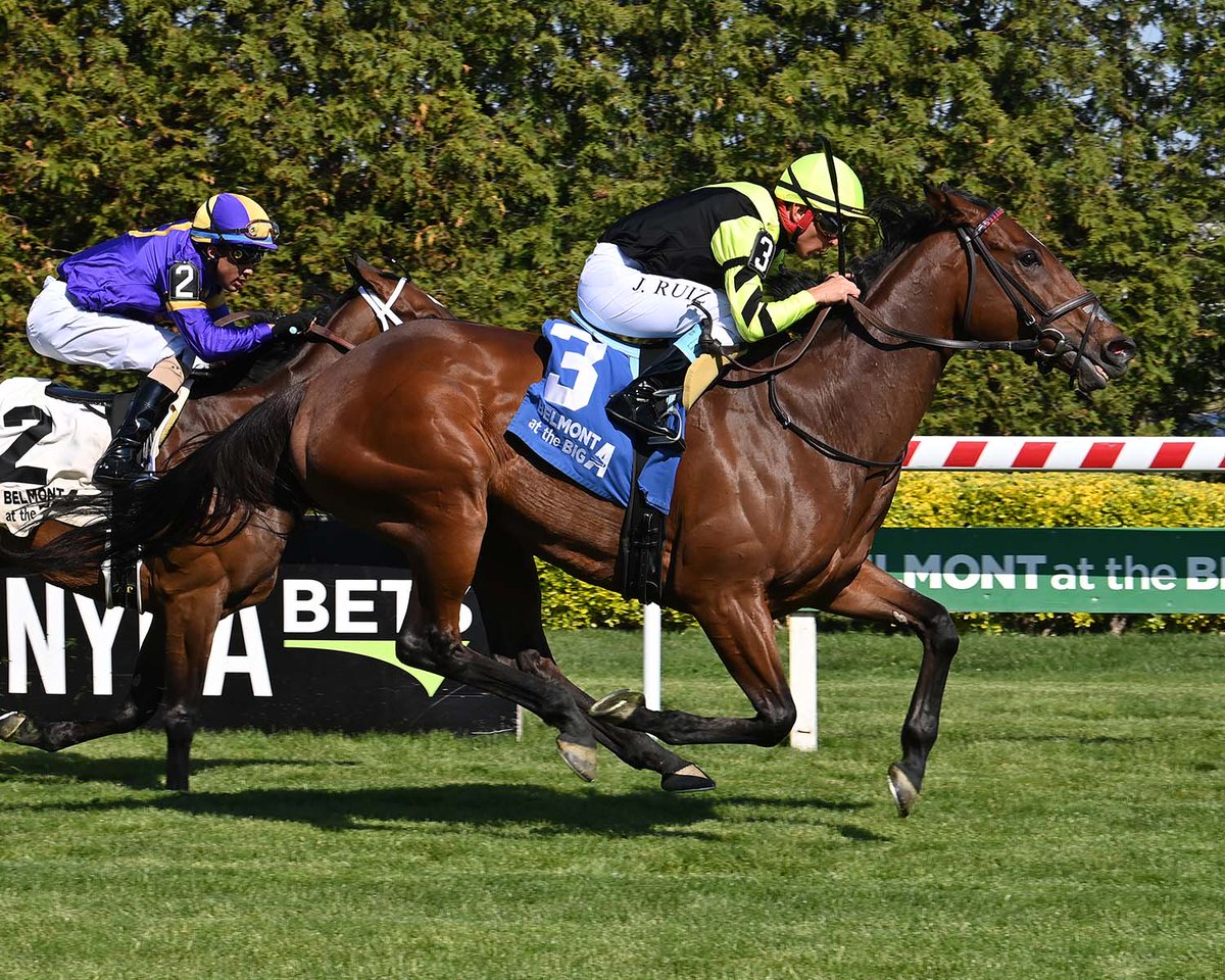 Herringswell Stables tweet media