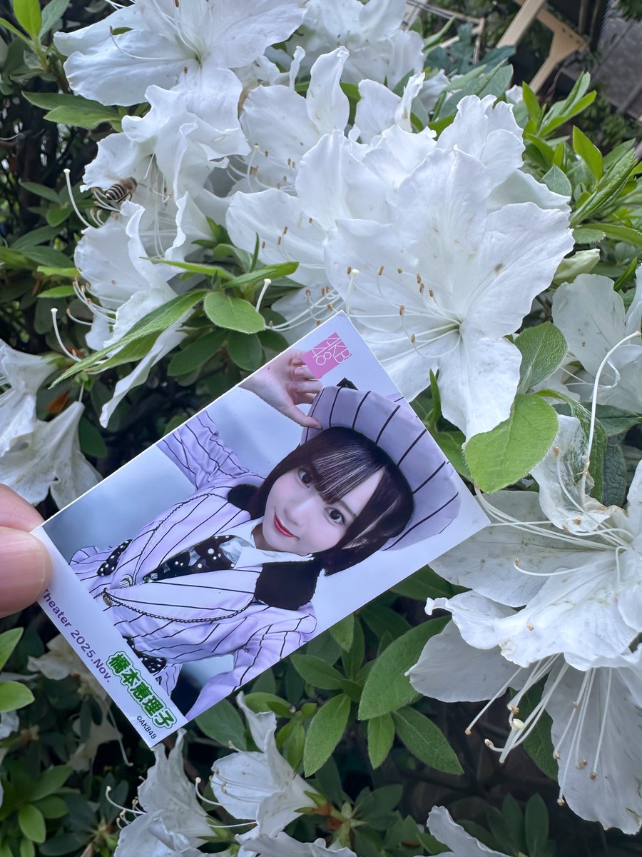 つ○はる tweet media