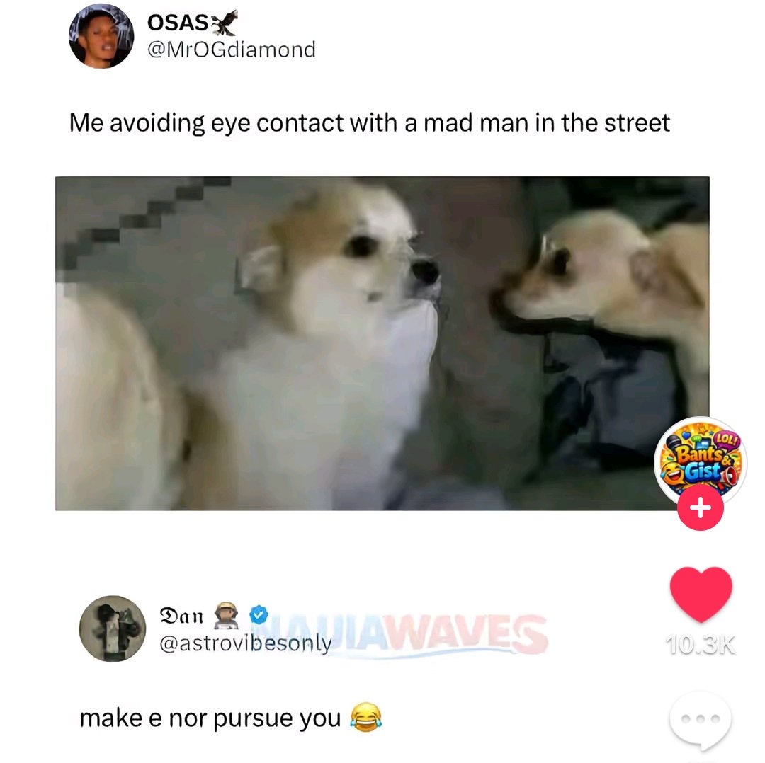 Ihechukwu Meekam tweet media