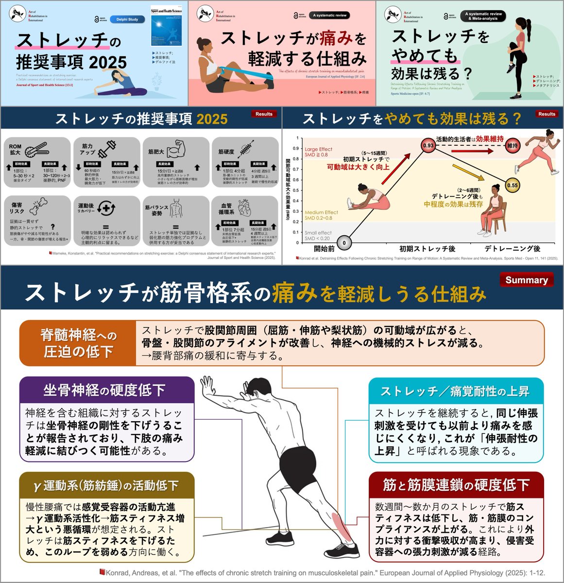 理学療法士_海津陽一 Ph.D. tweet media