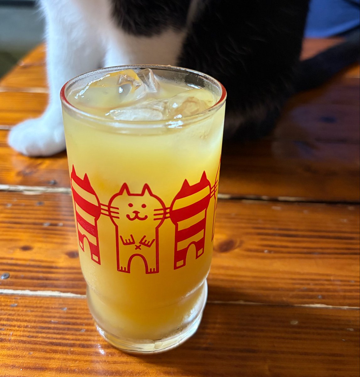 vegelovecat's tweet image. おはよー
5:10出発早朝散歩 18℃爽やかで気持ちがいい朝 自宅に入る前に10分位観察タイム 私はたまに風に乗ってくるスイカズラの香りを楽しんでた
昨夜の夕飯 キムチきゅうり奴 ナムル コールスロー 味噌汁 納豆
🏀見ながらパイナップルジン
 #vegan #ヴィーガン #保護犬を家族に #保護猫を家族に
