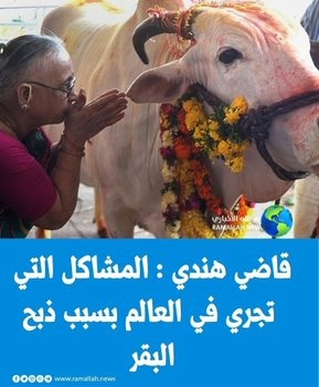 شريف حجازي tweet media