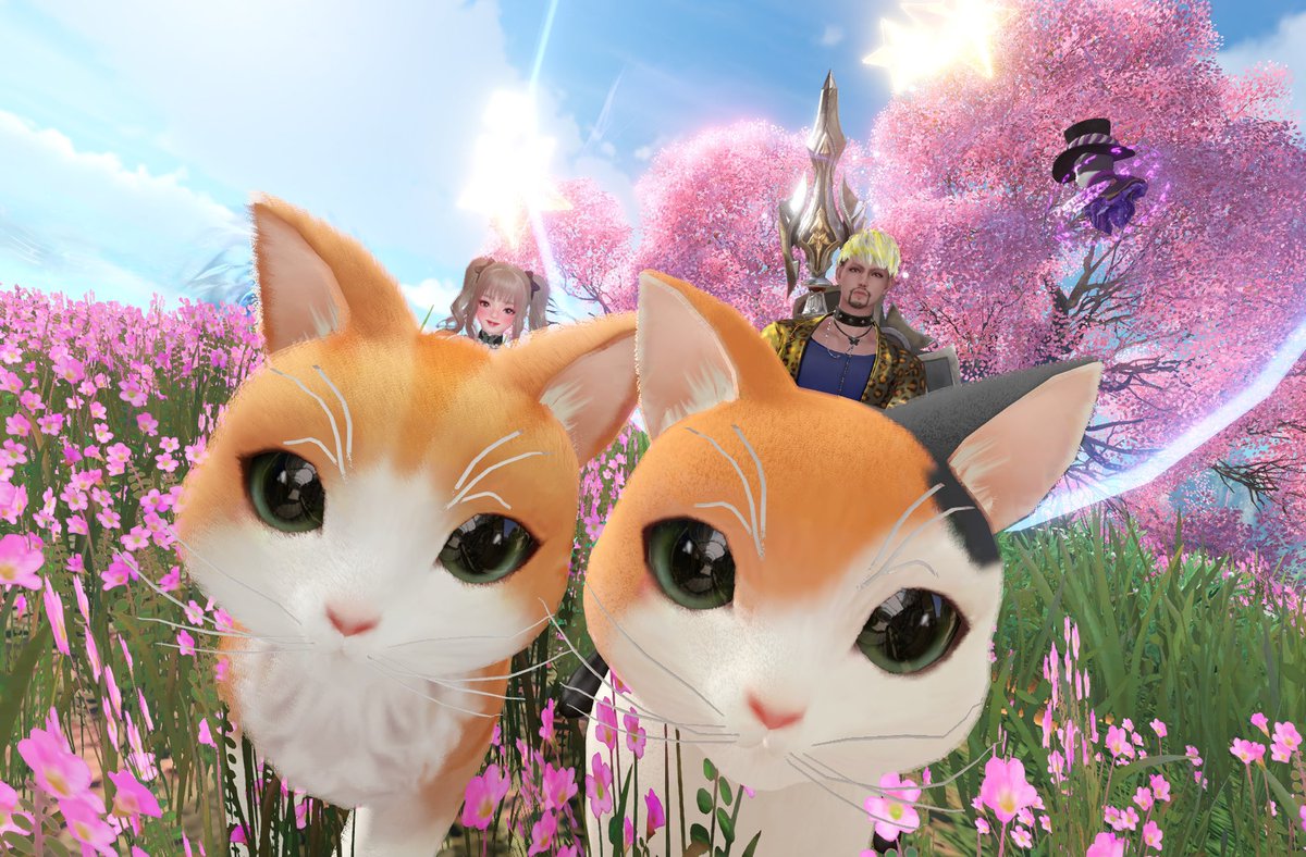茶トラと三毛猫ちゃん( ΦωΦ ) おめめきゅるるん🥺 #アズレア四周年ネコ