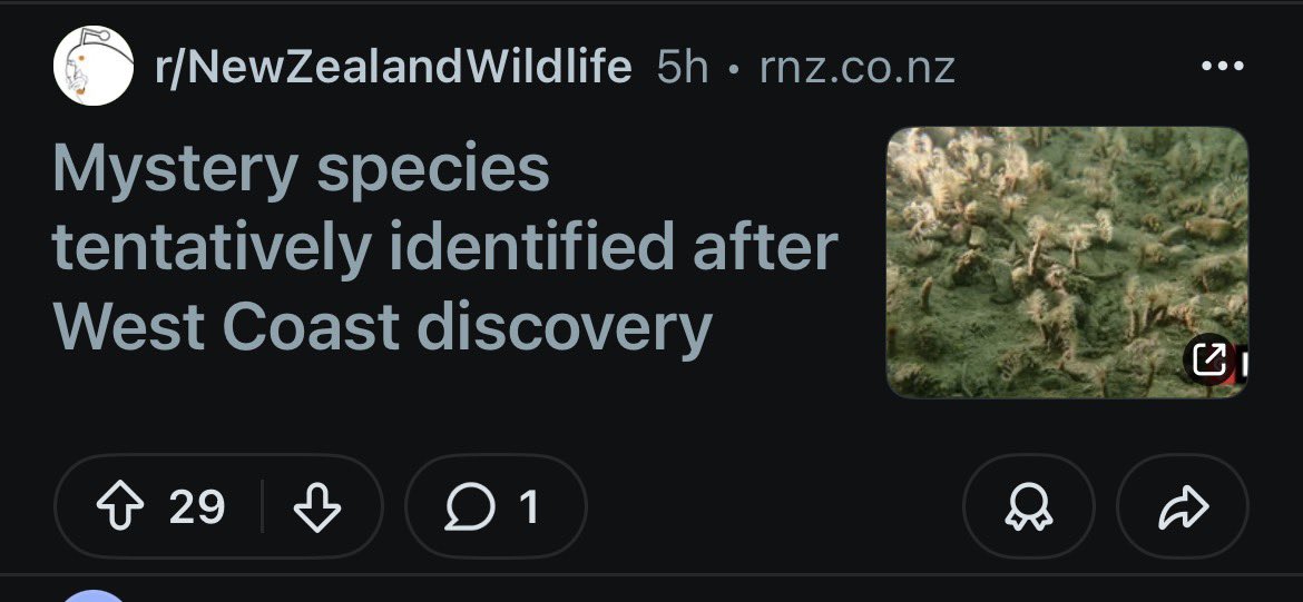 Bex tweet media