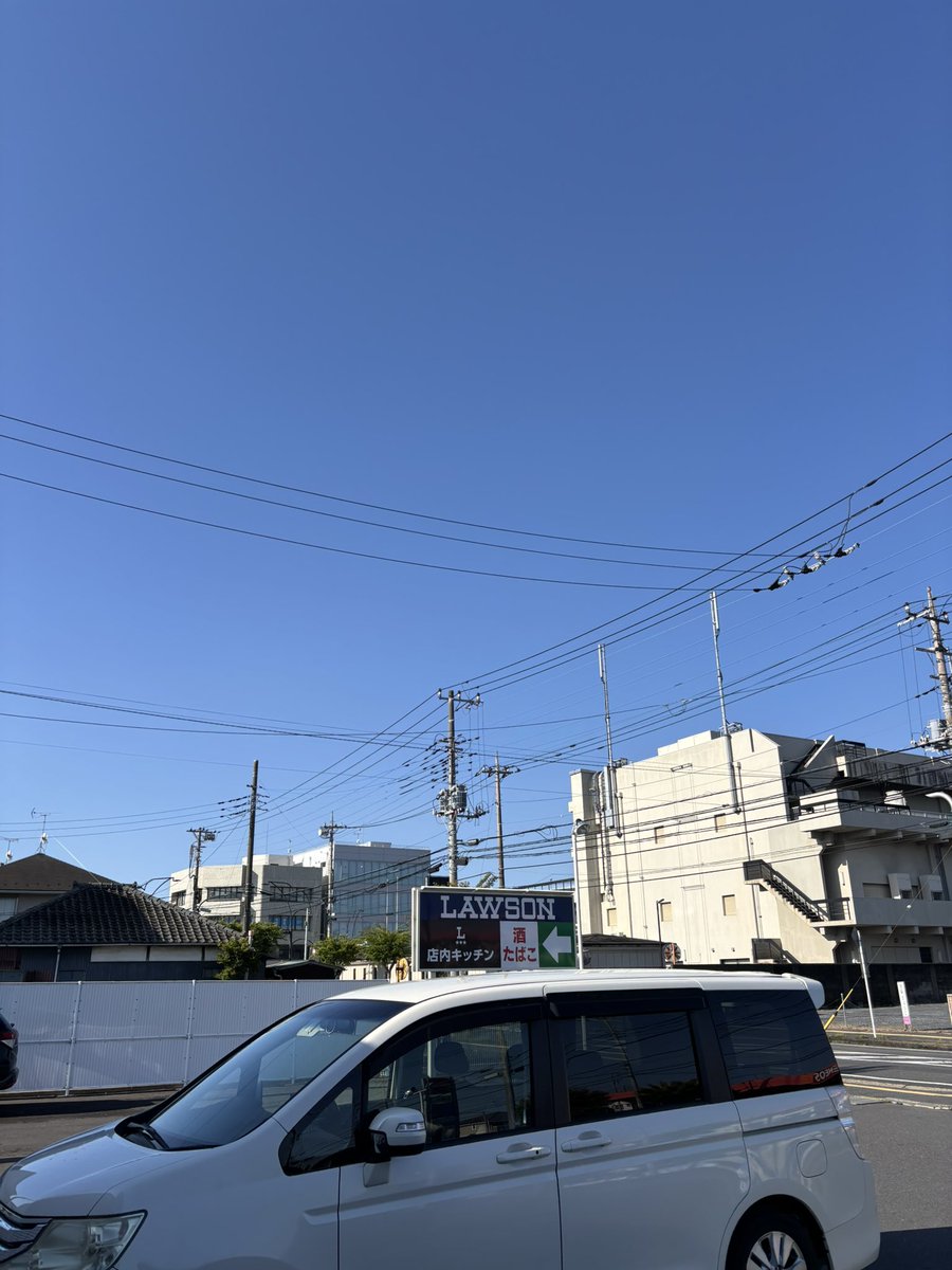 ねーこん(水戸) tweet media