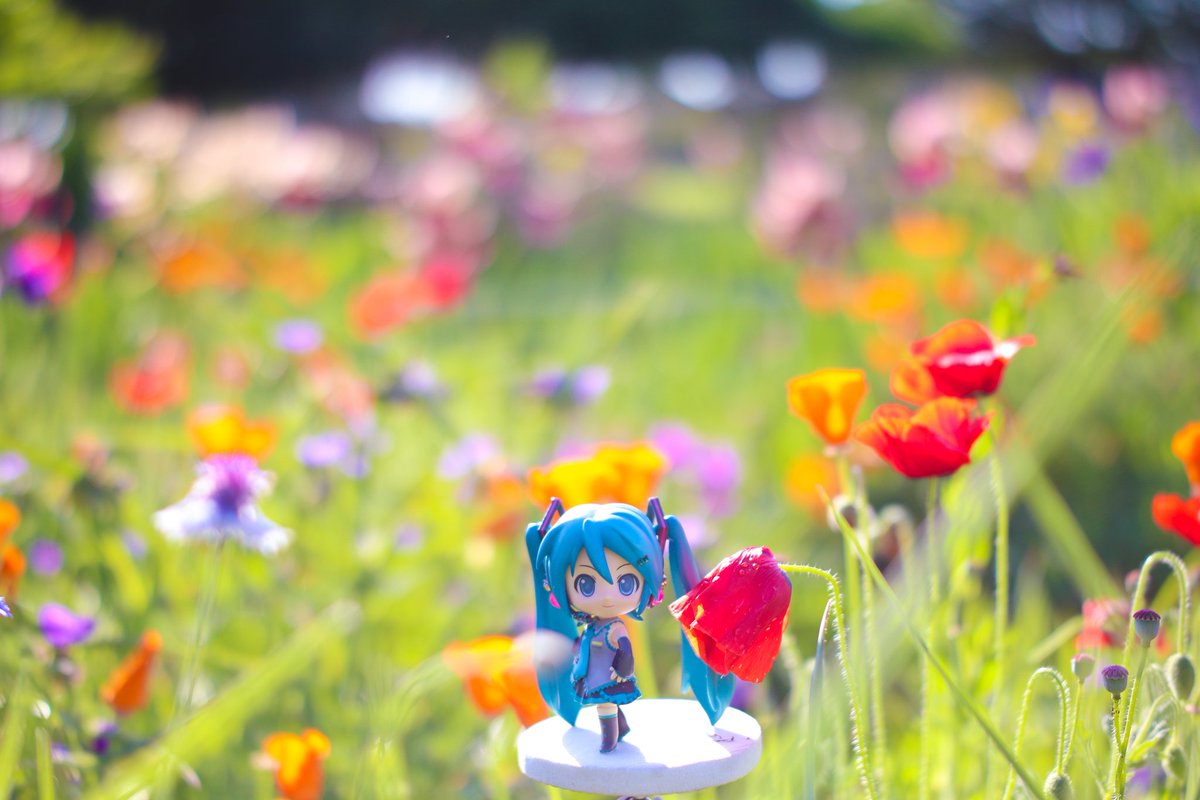 今日もこれからお仕事だけど君のおかげで今朝も世界が美しいものと識る事が出来ている✨