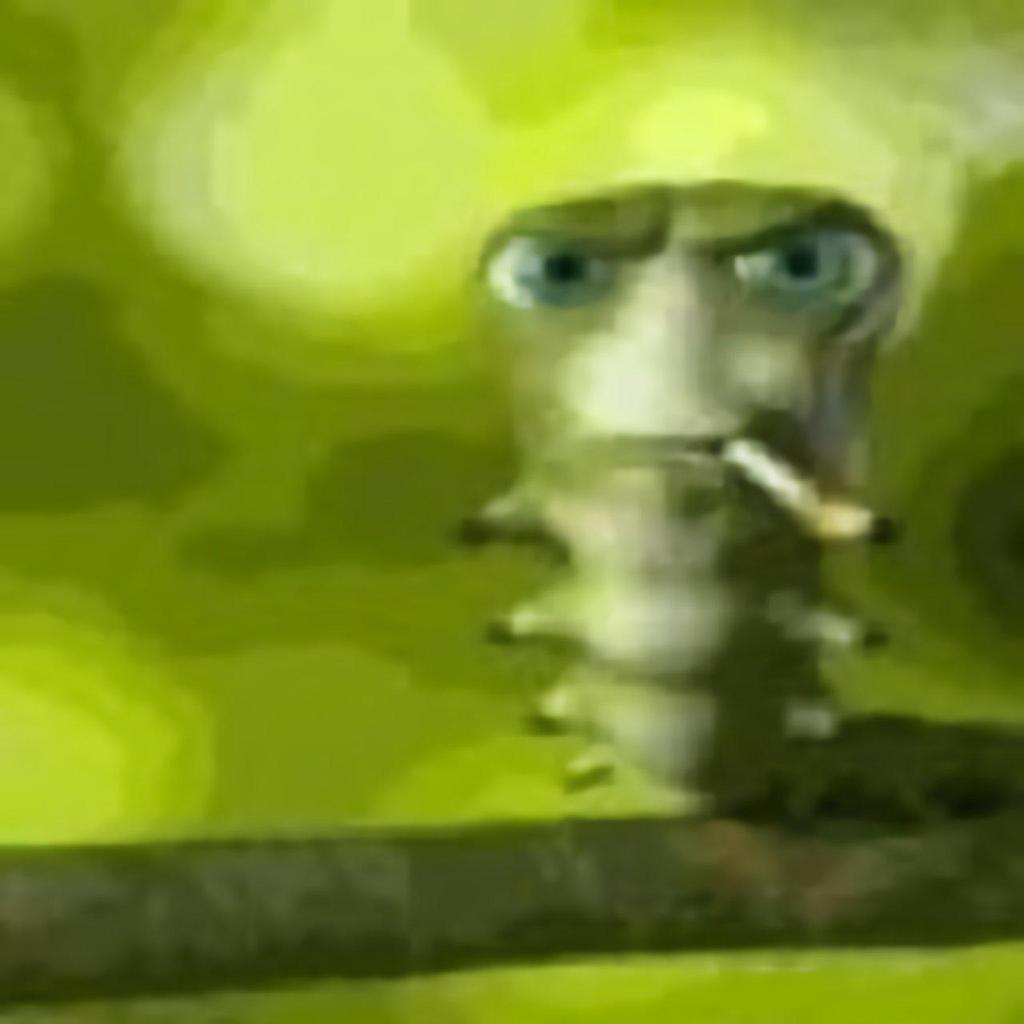 WIZARDTA tweet media