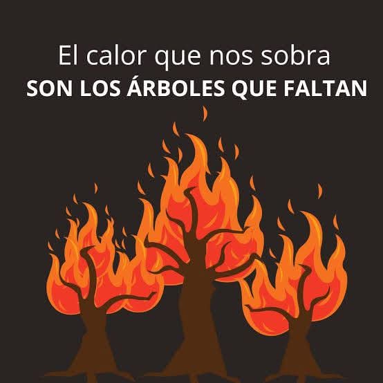30° en la CDMX, pero hey somos afortunados!! Tenemos edificios, calles y planchas de concreto!! 

Los arbolitos que!!??