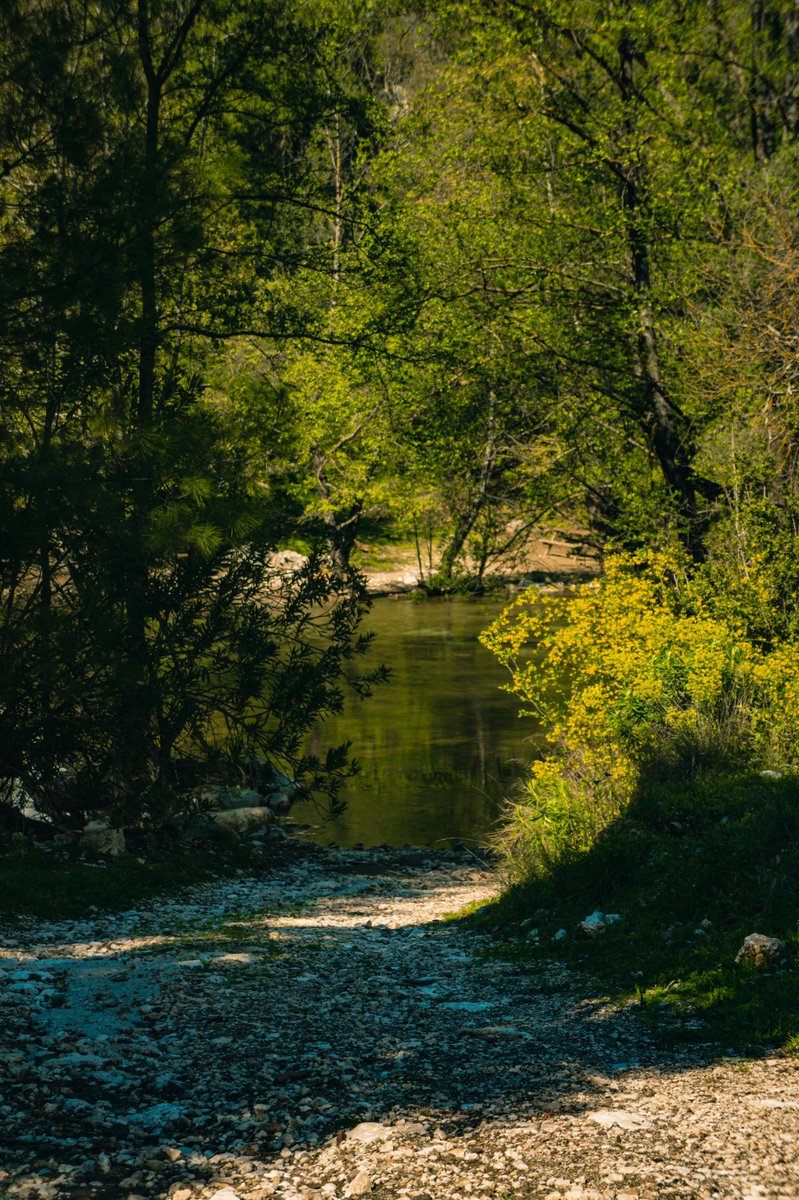 Persephone_Colo's tweet image. Go outside like you forgot something important. It helps.
#ThinkBIGSundayWithMarsha #inspirational #motivational #SpreadPositivity #SundayThoughts