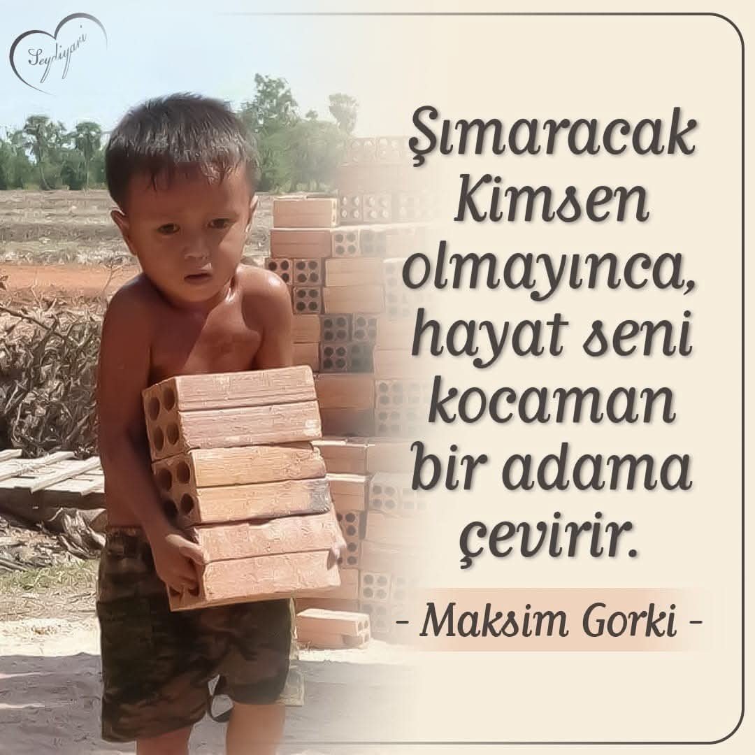 ♛ Ayşe BelenTürk ♛ tweet media