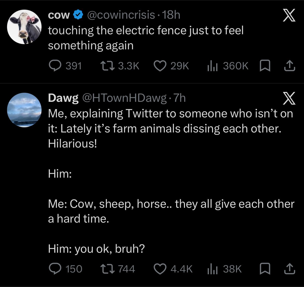 xArcaneRaven tweet media