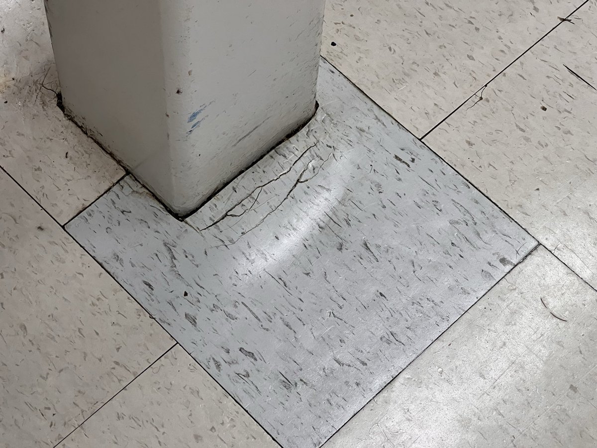 ppcdoug's tweet photo. Grand Re-Opening’… this is a joke, @CanadianTire 

Filthy, stained floors.
Dried chemical spills left sitting.
Cracked tiles and garbage everywhere.
Half-empty shelves with exposed metal edges.

This is what you call a “renovation”?!

1/2 https://t.co/BCADB9RySM