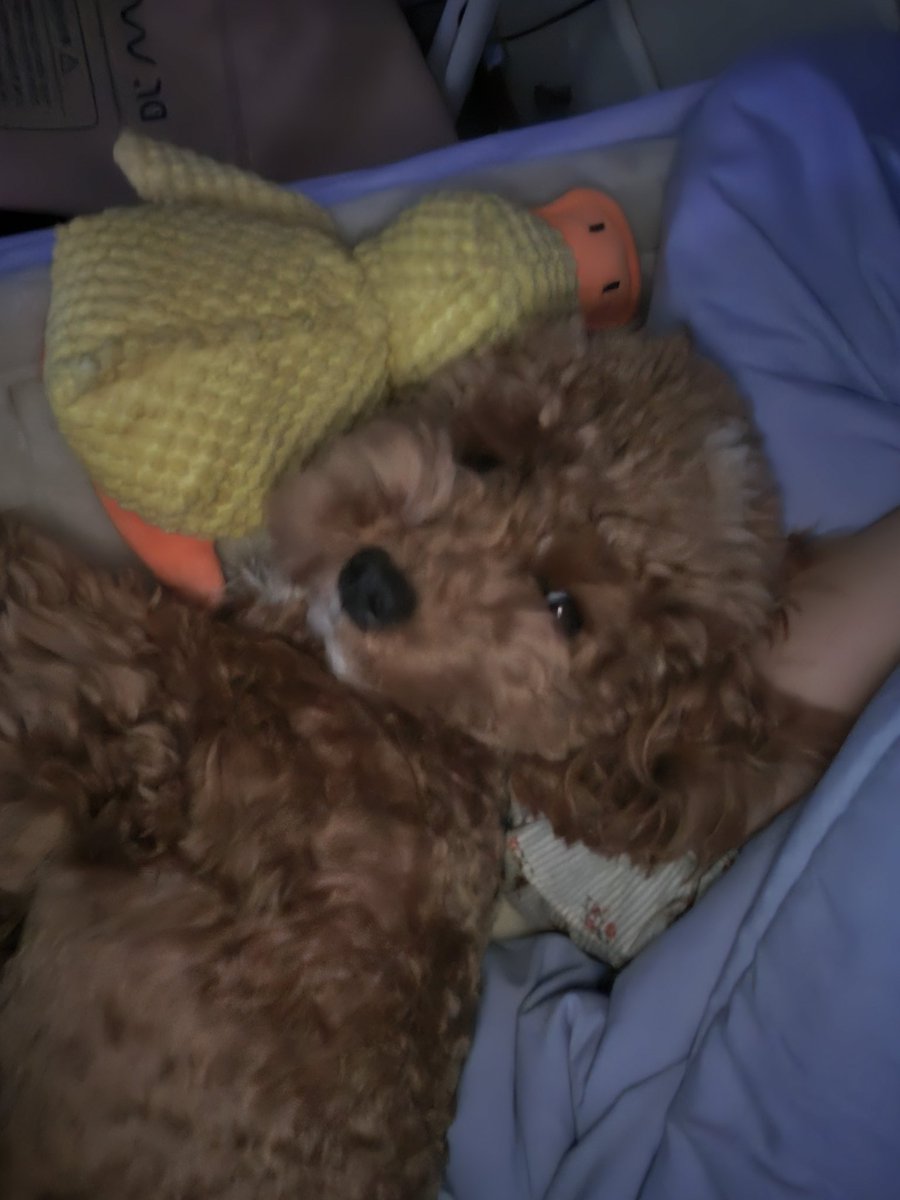 memilpillow's tweet photo. 나에 카메라 흔들림까지 너무 웃겨 https://t.co/dZNCdZxAwx