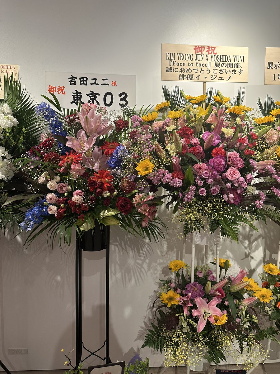 jun tweet media