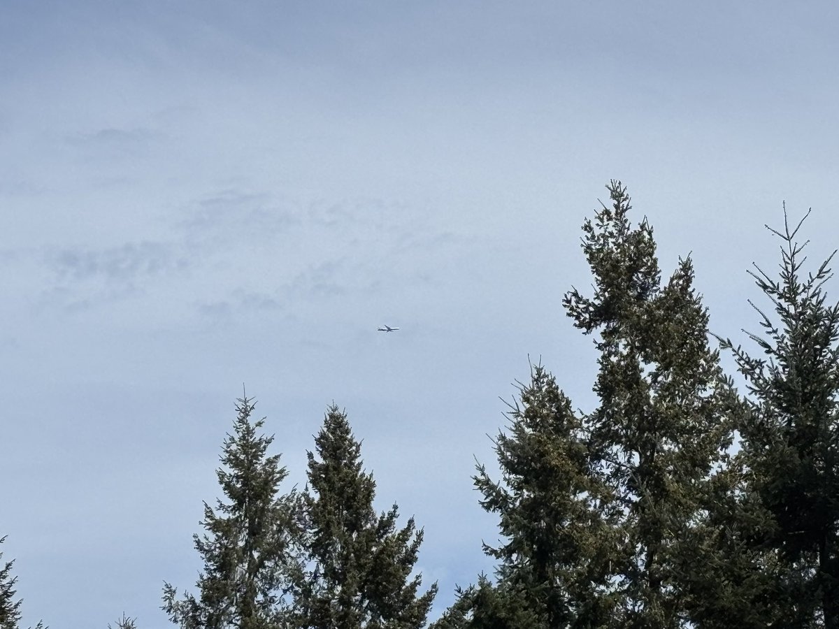KNSage's tweet image. When enjoying a beautiful PNW day turns into planespotting fun. Asiana 777-200, one of my favorites to spot #PNW #planespotting #AsianaAirlines #sogood