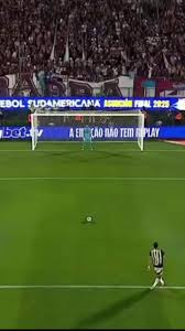 Dias GALO DOIDO tweet media