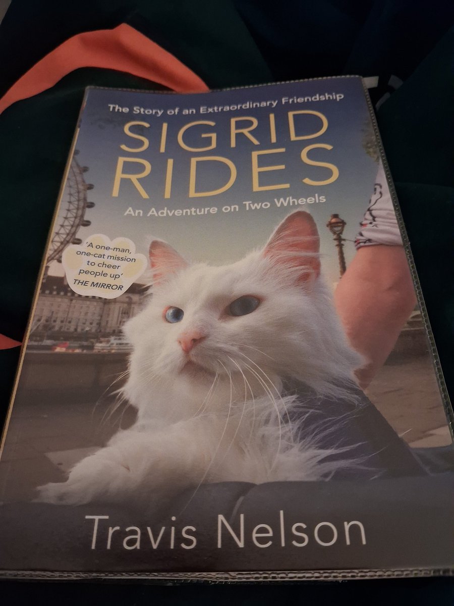 Helen's Book Haven tweet media