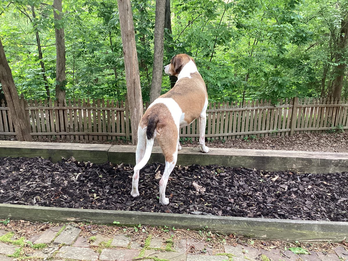 DaveScarangella's tweet photo. It really helps you relax on a cool Friday night when you know you have excellent security to protect you from all threats, real or imagined 😎 https://t.co/3b2JQ4GLxU