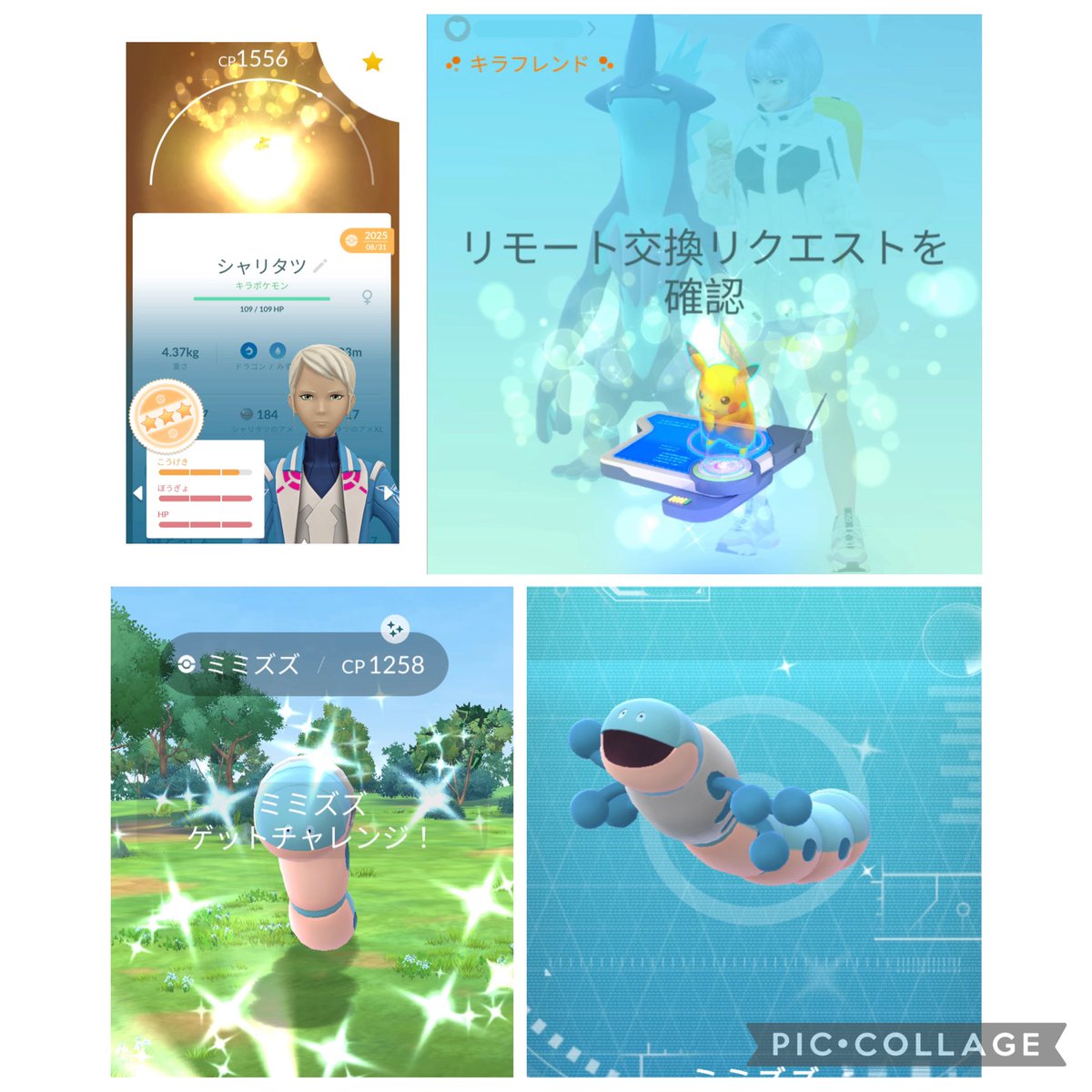 ゴウ tweet media