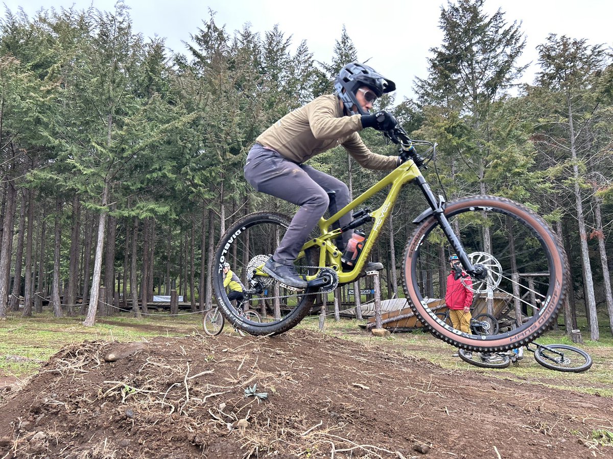 FORESTBIKE tweet media