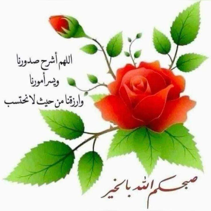 /فيصل/faisal tweet media