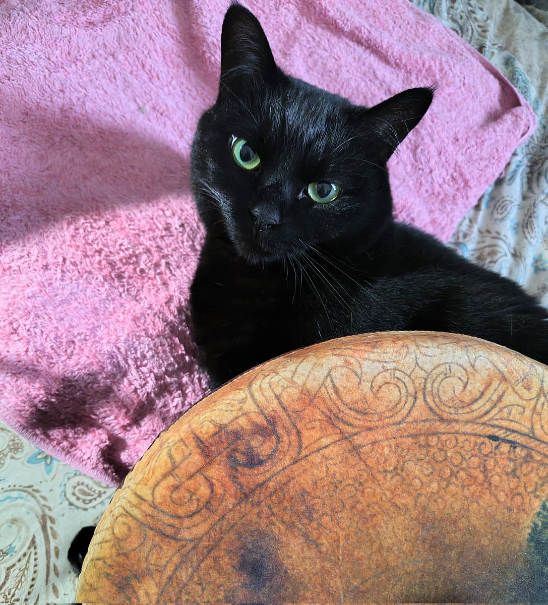 キャップリ(ックス)🍥厨ニ系錬金術師 tweet media