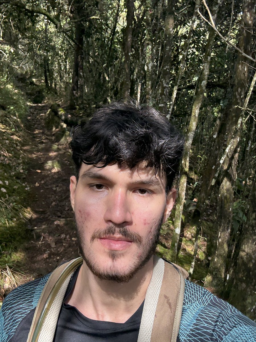 Daniel ☀️ tweet media