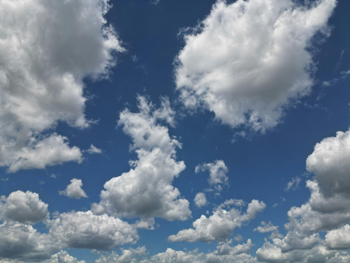 Persephone_Colo's tweet image. The wind has a way of editing your thoughts down to size.
#ThinkBIGSundayWithMarsha #inspirational #motivational #SpreadPositivity #SundayThoughts