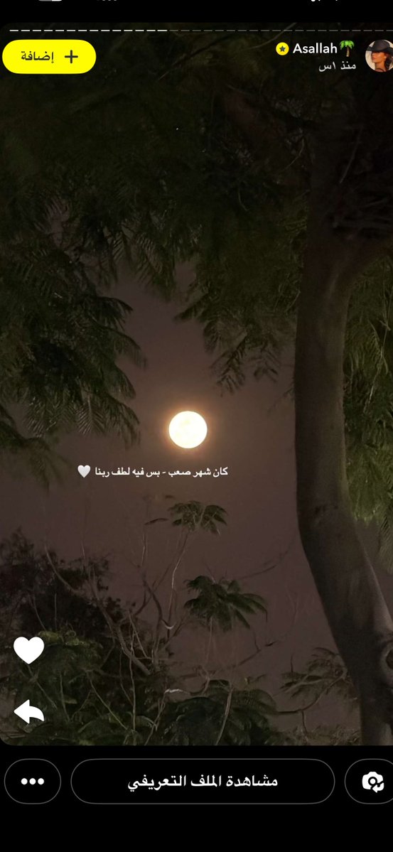 دُعاء أبوطالب tweet media