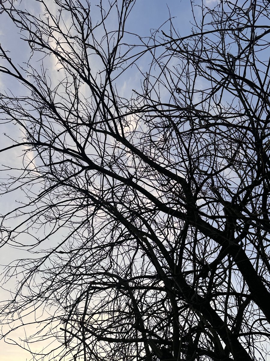 她一定坏坏的 tweet media