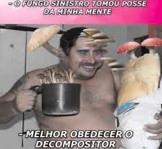 claracacau ! tweet media