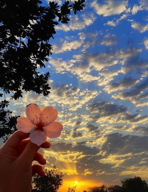 🇹🇷❣️elif___gibi❣️🇹🇷 tweet media