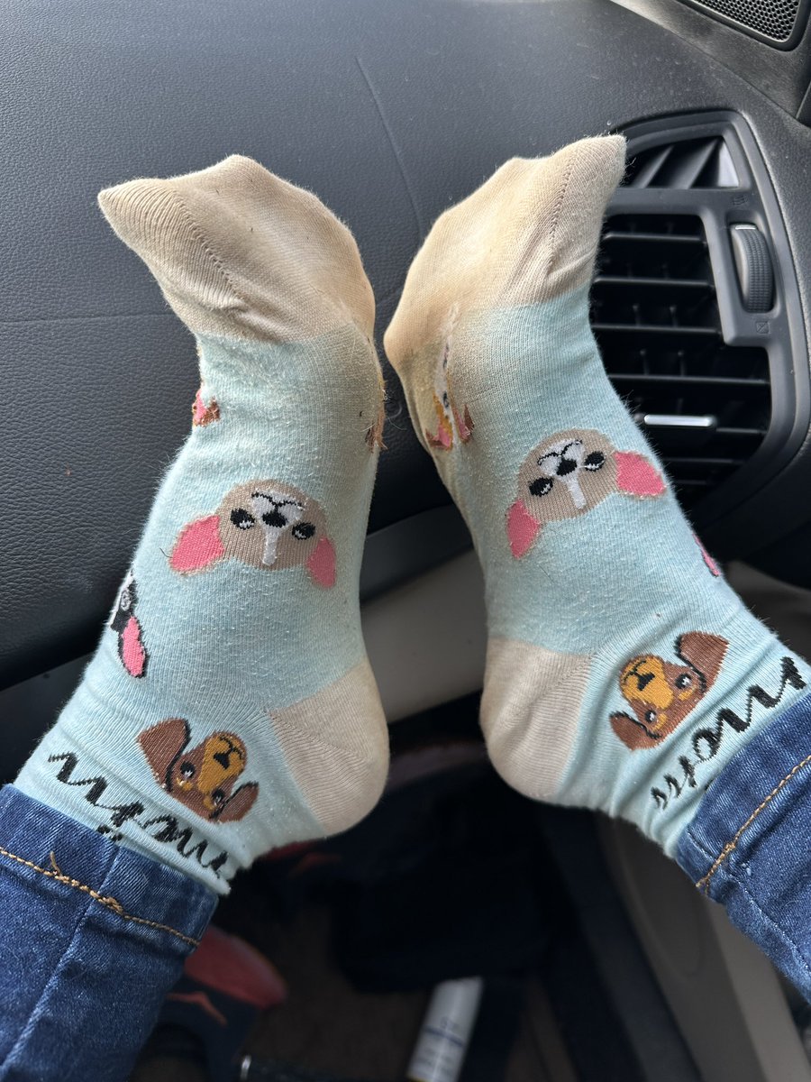feett_fantasy's tweet image. Idk if I’ll have time to post the rest of the night so enjoy my 10 hr work day sockies on the way to dinner!! 💖💖

#foot #feet #socks #soles #toes #sugardaddy #findom #femdom #paypig #selling #humanatm #goddess #cashapp #trending