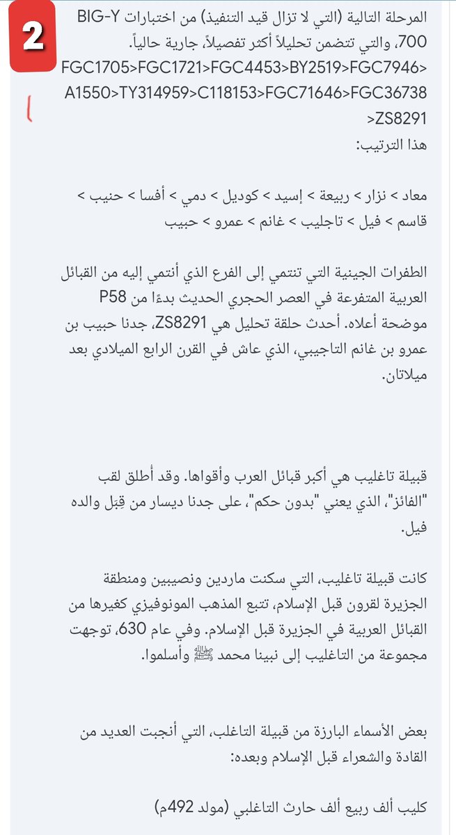 ahmed.benamsedeer tweet media