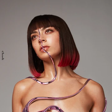 gabriela tweet media