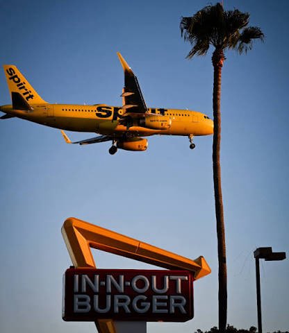 innoutburger_'s tweet image. Spirit Airlines landing at LAX for what might one the final days it will operate🛬🌴