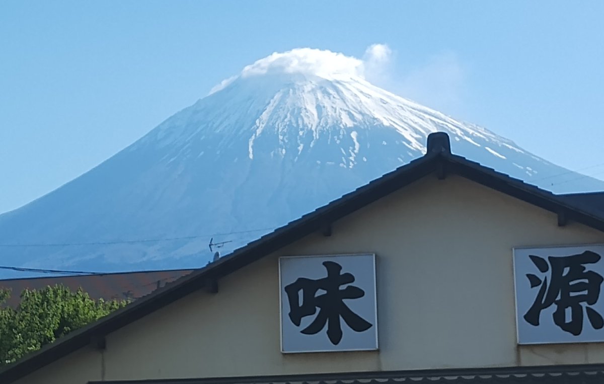 ajigen_soba's tweet photo. ５月２日　GW初日
良いお天気☀

泉州水茄子🍆浅漬け
農家さんから直送の水茄子は
今年もまるまる　ツヤツヤ✨
みずみずしい美味しさをぜひ☺️ https://t.co/ukER2SkxMv