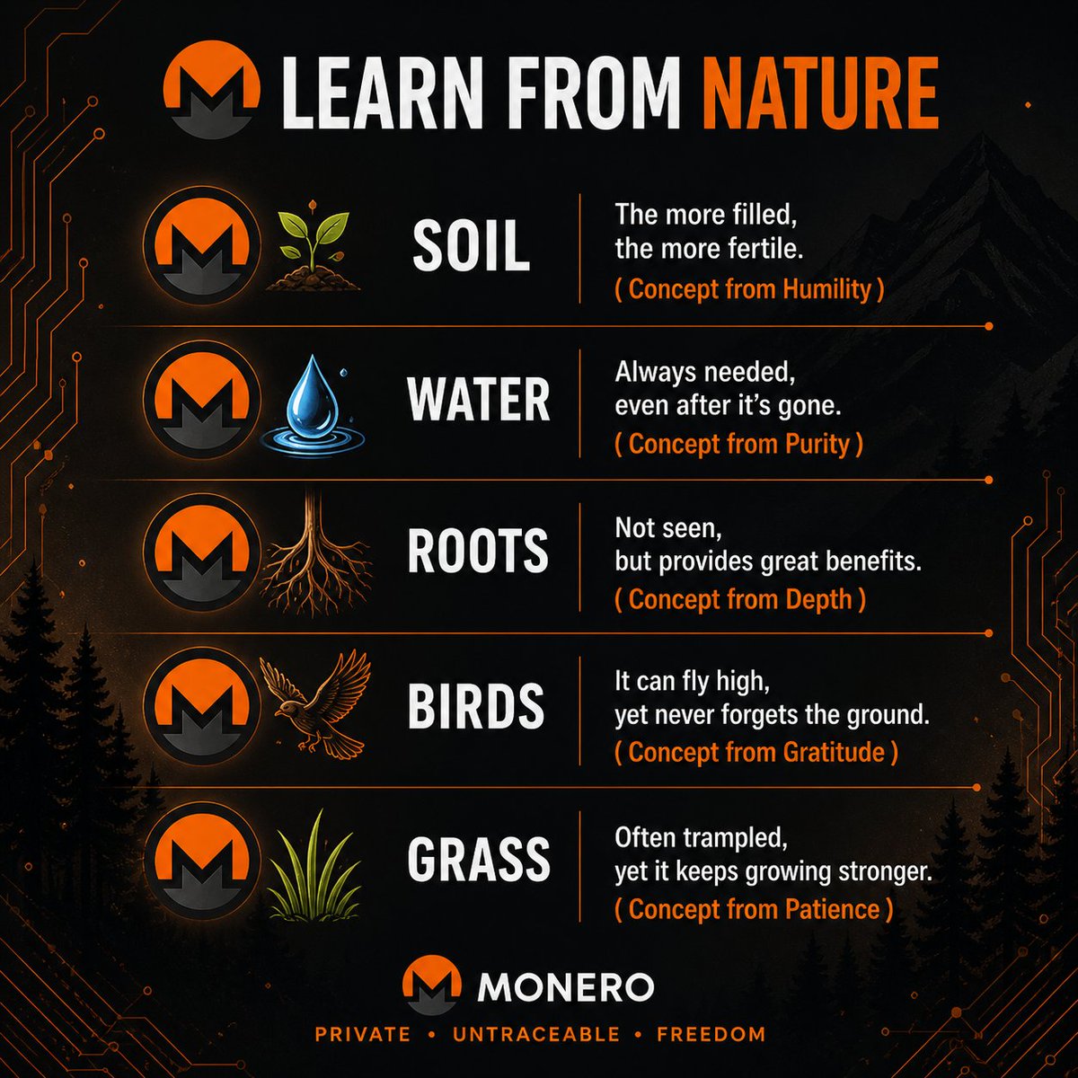 dyana1908's tweet image. Good Morning All
If you understand this…
you already understand #XMR
