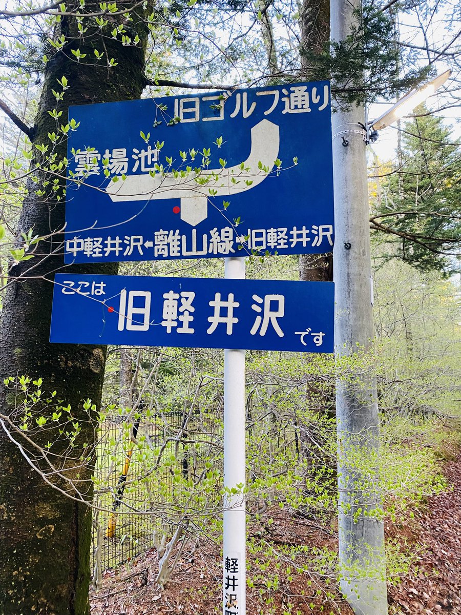 A_ISEKI's tweet photo. 深緑ラン https://t.co/U8jy4j9AaG