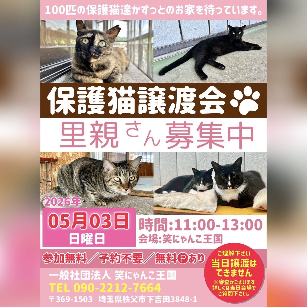 .

◎ #保護猫譲渡会 のお知らせ◎
5月3日(日) 11時～13時

家族との出会いを待ちながら
個性豊かな猫たちが暮らしています🍀

ケージフリーなので実際に触れ合いながら
ゆっくり相性を見ていただけます😽🤝

もしかしたら
運命の出会いがあるかもしれません🐾
お待ちしております₍^..^₎ 𐒡♬*ﾟ

.