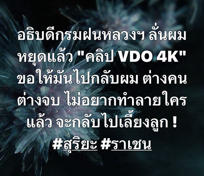 redbamboo16ret tweet media